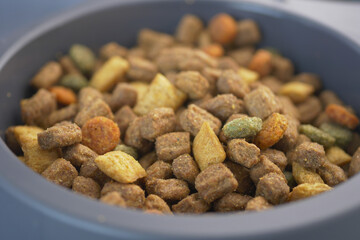Dog food mix in a gray bowl on a kitchen counter