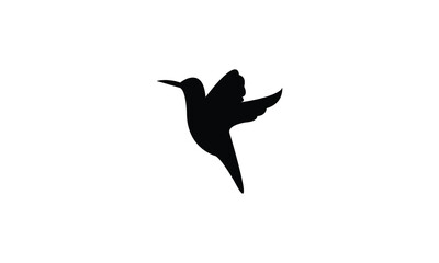 Flying Amazilia hummingbird Silhouette Design  And Vector Illustration. 