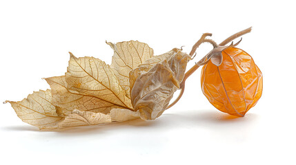 Dried Yellow Gooseberry with Leaves