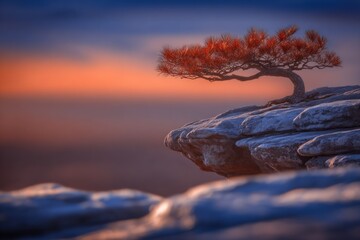 A solitary, bonsai-like tree perched atop a dramatic cliff face at sunrise