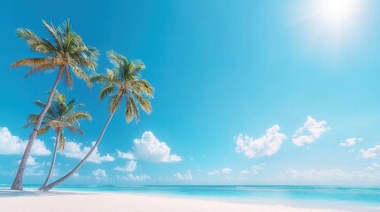 Fototapeta premium summer concept. Tropical beach scene with palm trees under a bright blue sky.
