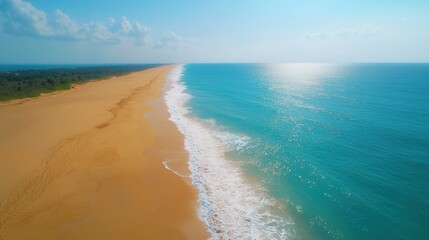 Fototapeta premium summer concept. Endless beach meets tranquil ocean under a bright blue sky.
