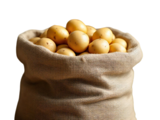 A burlap sack filled to the brim with a generous heap of freshly harvested yellow potatoes on black ground