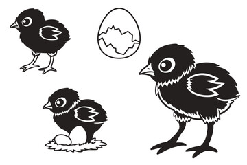 Fototapeta premium chicken