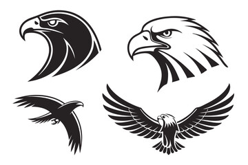 set of birds