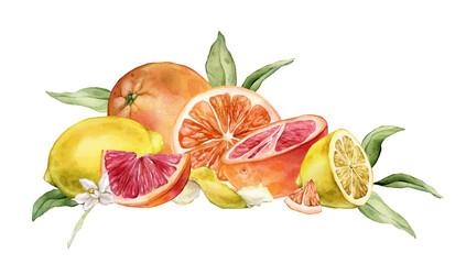 Composition with slice and whole Grapefruit and Lemon, Orange. Hand drawn watercolor illustration of tropical citrus fruits and leaves with white flower on isolated background. Half grapefruit