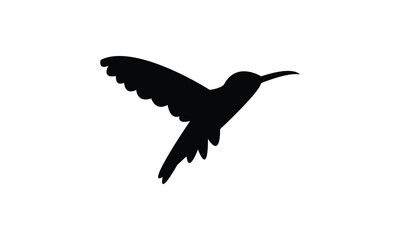 Flying Amazilia hummingbird Silhouette Design  And Vector Illustration. 