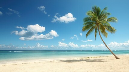 summer concept. Tropical beach scene with palm tree and clear blue sky.