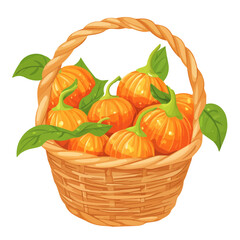 2D flat Physalis Fruit Basket vector illustration, isolated on a white background.