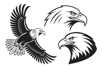 Obraz premium eagle vector illustration