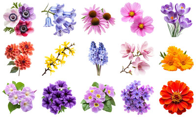 Vibrant Collection of Various Flower Species Showcasing Nature Beauty and Colorful Diversity. Large Multiple Plant and Nature Collection Set Isolated on Transparent Background