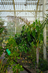 Dublin, Ireland - May 31 2025 