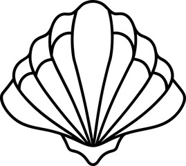 vector illustration of shell