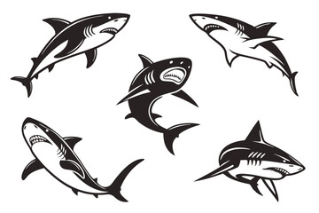 set of sharks