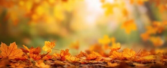 Obraz premium The vibrant autumn leaves blanketing the forest floor in warm hues.