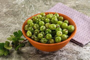 Ripe sweeet and juicy gooseberry
