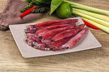 Raw fresh squids for cooking