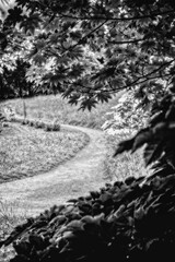 Joli chemin de campagne – balade paisible en pleine nature