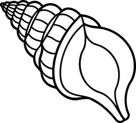 hand drawn vector illustration of a seashell