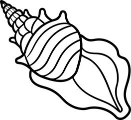 hand drawn vector illustration of a seashell