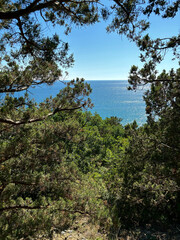 Rock in the sea bay. Sea bay rock view. Landscape of sea bay