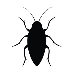 vector illustration of a black beetle