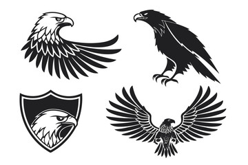 Obraz premium eagle with wings