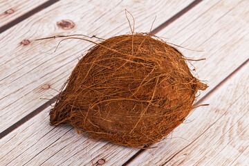 Tropical exotic brown haired coconut