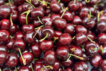 cherry 체리