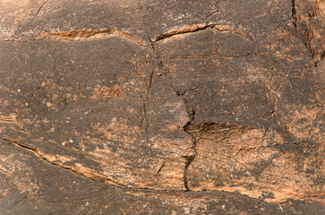 Red sandstone rock, natural tones, create mesmerizing texture and patterns, creating a natural earthy backdrop. 