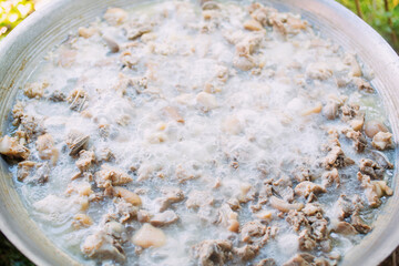 Boil pork bones in a large pot of boiling water.