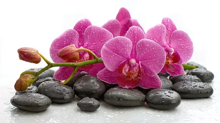 Delicate pink orchids dotted with water droplets rest beside smooth stones on a white surface, evoking serene spa vibes. 