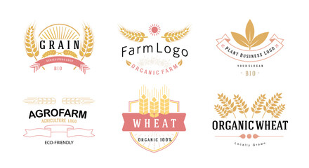 Agriculture wheat ears badges. Agriculture sticker and label, wheat