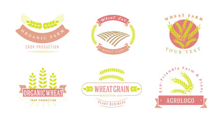 Agriculture wheat ears badges. Agriculture sticker and label, wheat