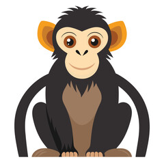 monkey vector image on white background