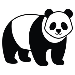 panda bear vector illustration