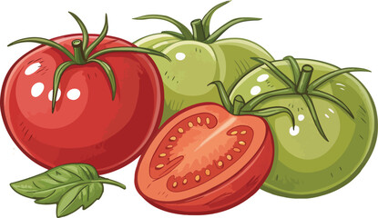 Tomato and tomato slice in white background Illustration vector design, Tomato Illustration vector design