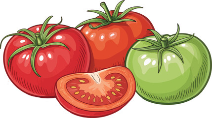 Tomato and tomato slice in white background vector design, Tomato Illustration vector design