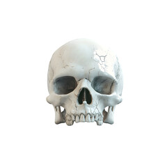 Detailed White Skull on transparent background - Anatomical Illustration with Cracks.