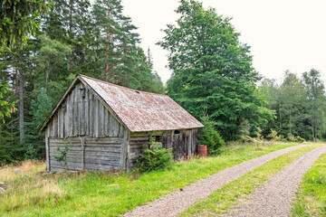Old wooden barn by the roadside at a dirt road in a forest
