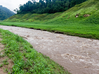 After heavy rain, the flood water from the highlands flows into the river. The water is muddy and has lots of wood chips and other things.