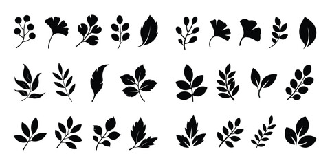 Obraz premium A Diverse Collection of Elegant Black and White Foliage and Floral Designs