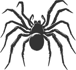 Vector art of a spider animal silhouette drawing