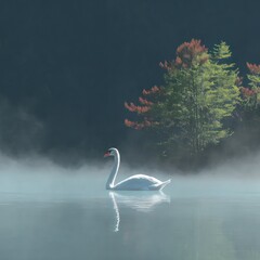 Misty lake scene with swan (1)