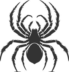 Vector art of a spider animal silhouette drawing