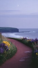 Coastal path at dusk