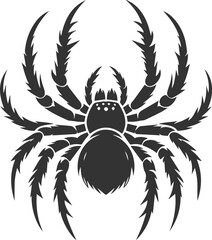 Vector art of a spider animal silhouette drawing