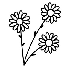 Elegant Black and White Daisy Flowers Line Art with Solid Centers and Long Stems Vector