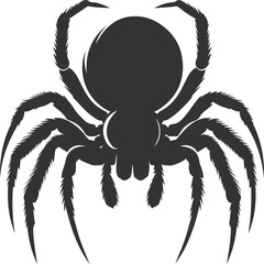 Vector art of a spider animal silhouette drawing