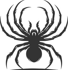 Vector art of a spider animal silhouette drawing